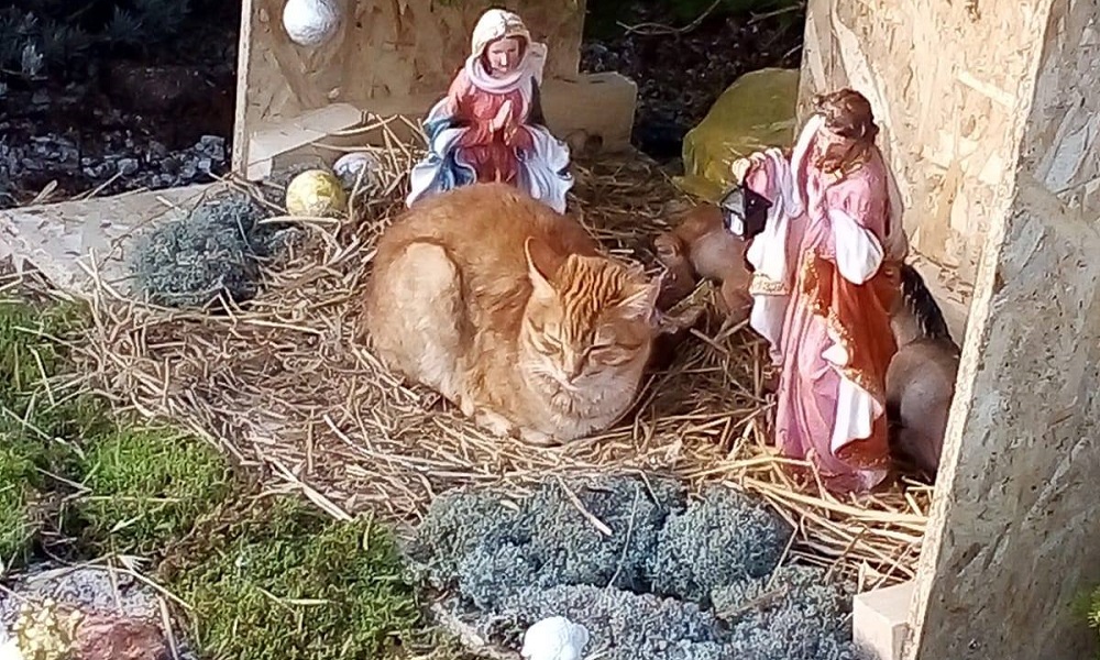 Čarobni otok 2019