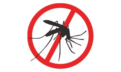 adulticidna dezinsekcija komarci