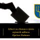 Izbori mjesni odbori