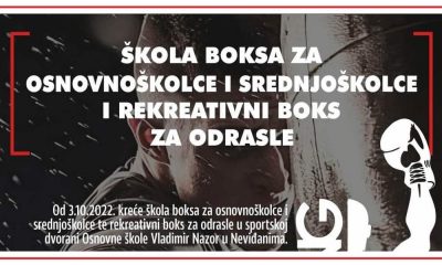 Škola boksa