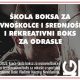 Škola boksa