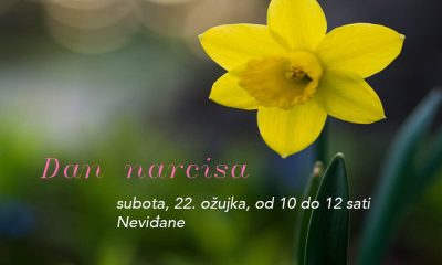 Dan narcisa